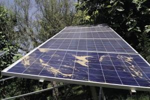 solar panel degradation